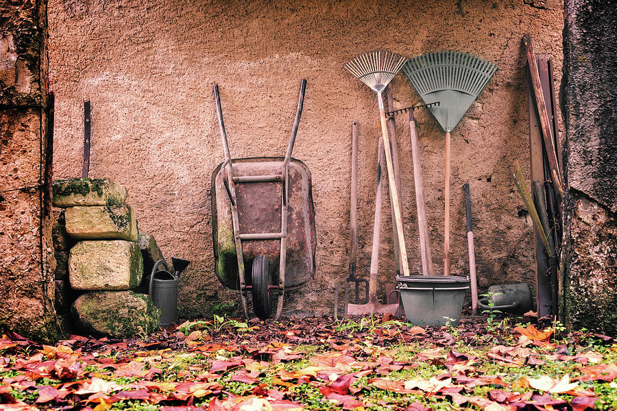 Rustic garden tools Photograph by Delphimages Photo Creations