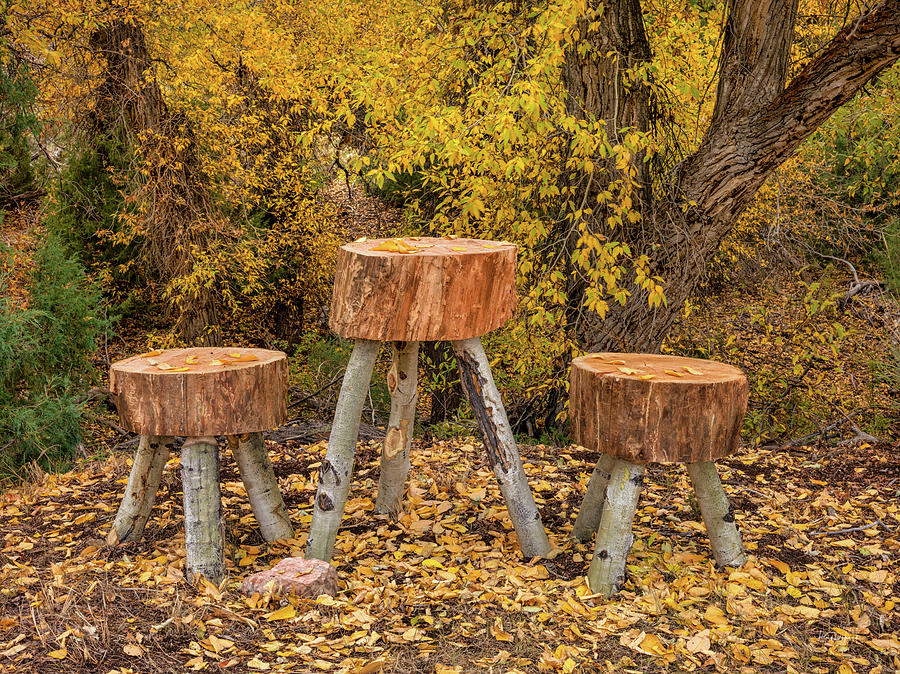 Rustic Handmade Furniture 2 Photograph by Leland D Howard