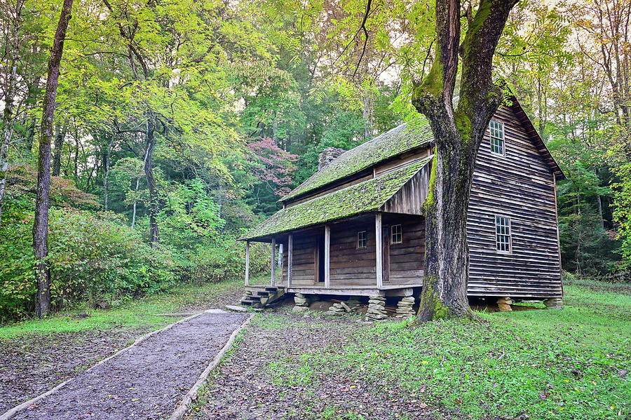 Rustic Historic Cabin Photograph by Ed Stokes