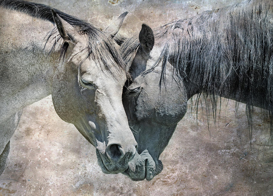 Rustic Horse Love Photograph by Jennie Marie Schell