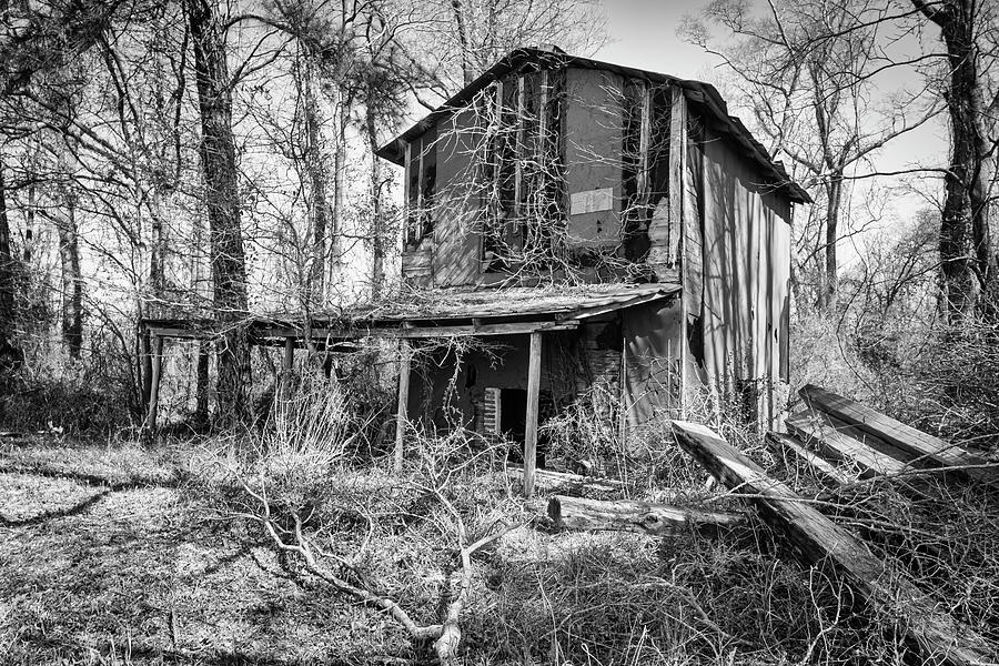 Rustic Old Tobacco Barn Along a Jones County North Carolina Back Photograph by Bob Decker