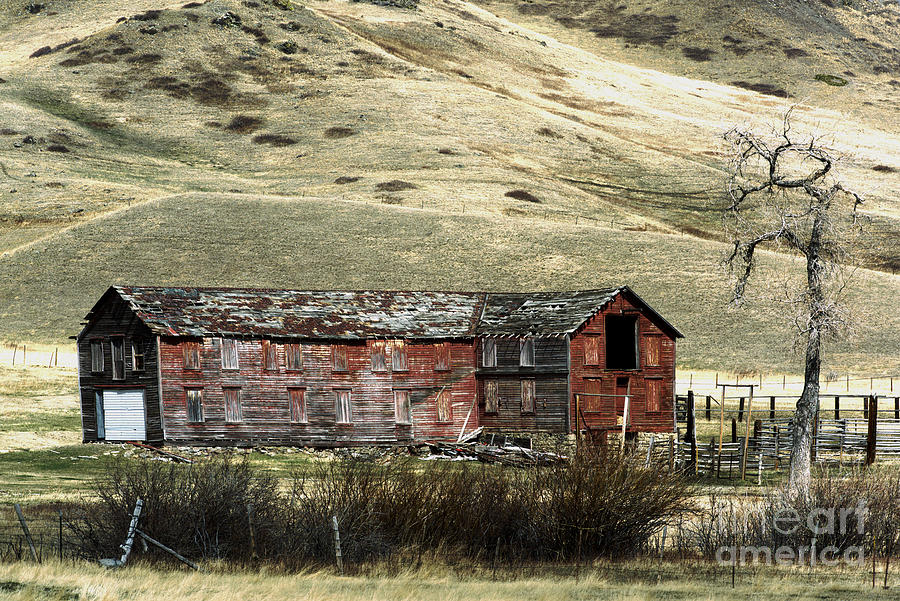 Rustic Outbuilding Photograph by Kae Cheatham