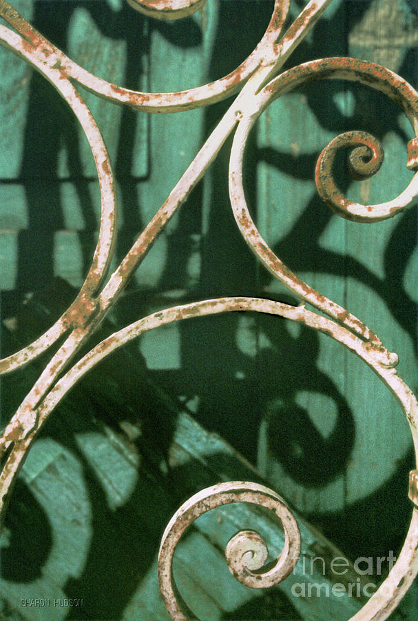 rustic photos - White Scroll on Green  Photograph by Sharon Hudson
