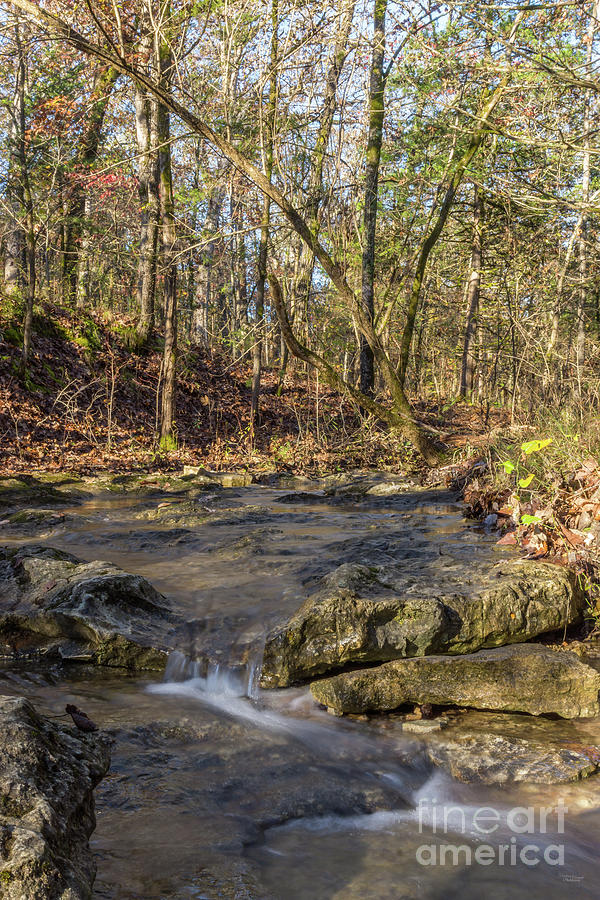 Rustic Rain Water Country Creek Photograph by Jennifer White - Fine Art ...