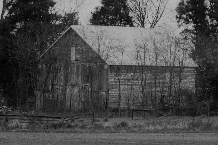rustic shed in B and W Photograph