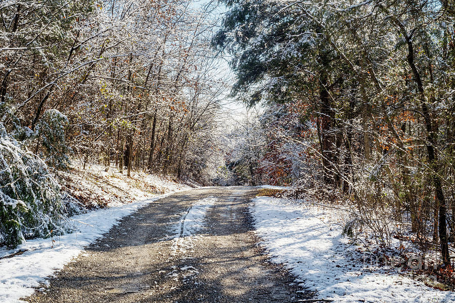 Rustic Snow Covered Gravel Road Photograph by Jennifer White