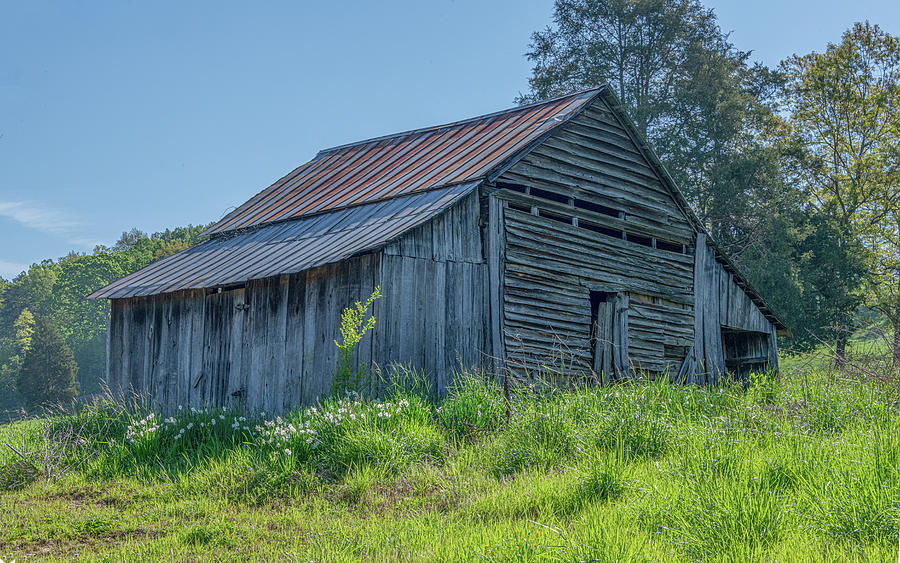 Rustic Spring in Tennessee Photograph by Marcy Wielfaert