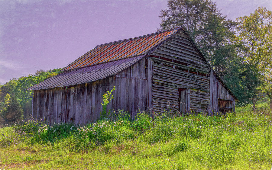 Rustic Spring, Painterly Photograph by Marcy Wielfaert