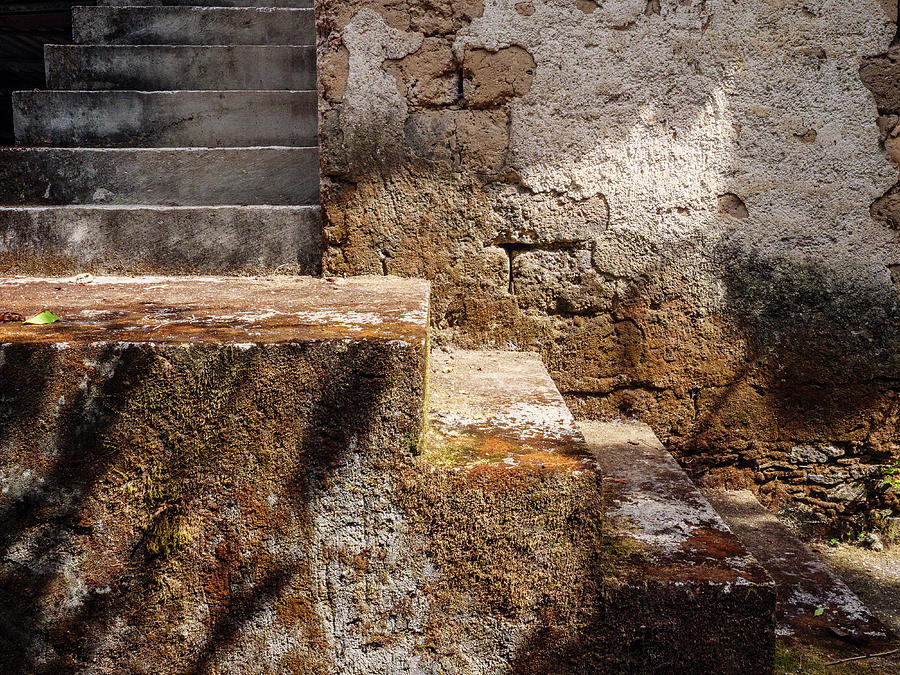 Rustic Steps Photograph by Rob Huntley