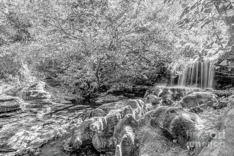 Rustic Tanyard Creek Waterfall Grayscale Photograph by Jennifer White