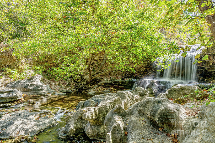 Rustic Tanyard Creek Waterfall Photograph by Jennifer White