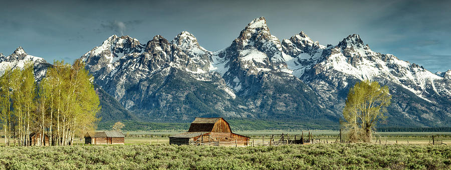 Rustic Tetons Photograph by Stephen Stookey