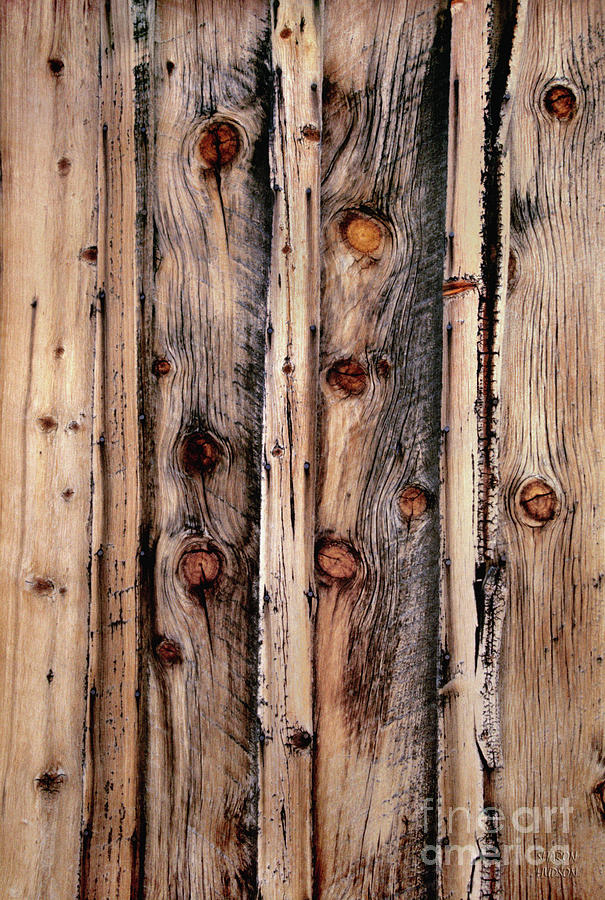 rustic textures - Old Wood Photograph by Sharon Hudson