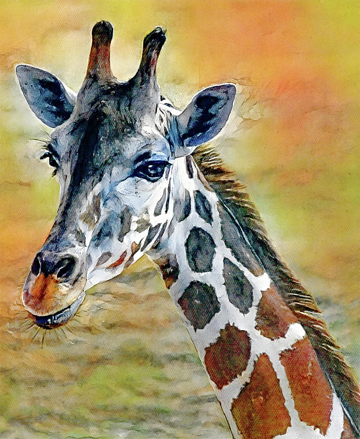 Rustic Tones Giraffe Art Digital Art by Gaby Ethington