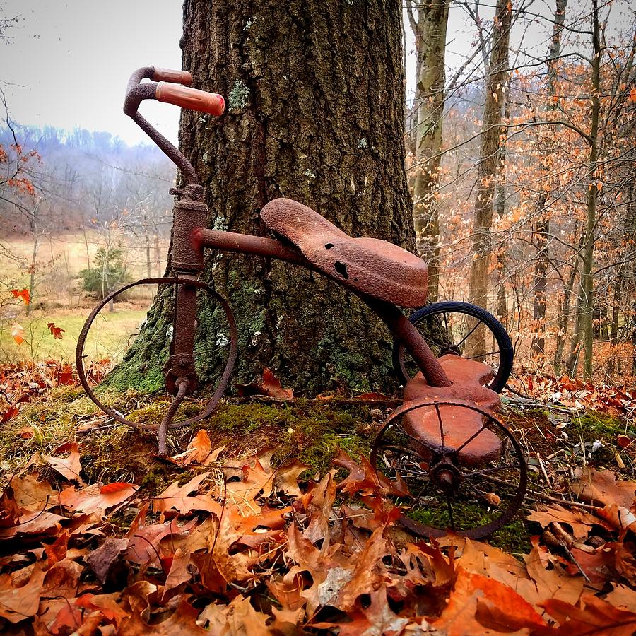 Rustic Tricycle Photograph by Amanda Rae