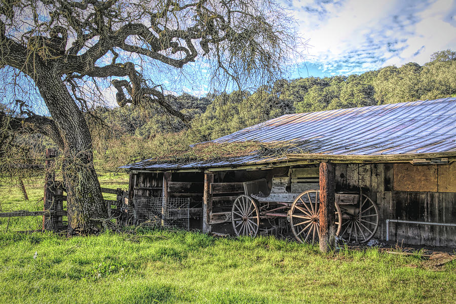 Rustic Wagon in a Rustic Shed Photograph by Floyd Snyder