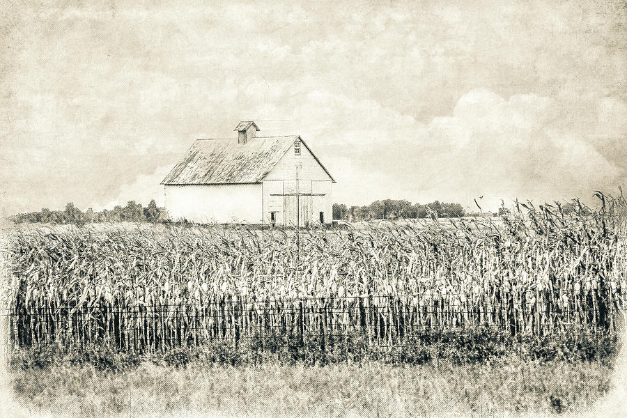Rustic White Barn Sketch Photograph by Tammy Wetzel