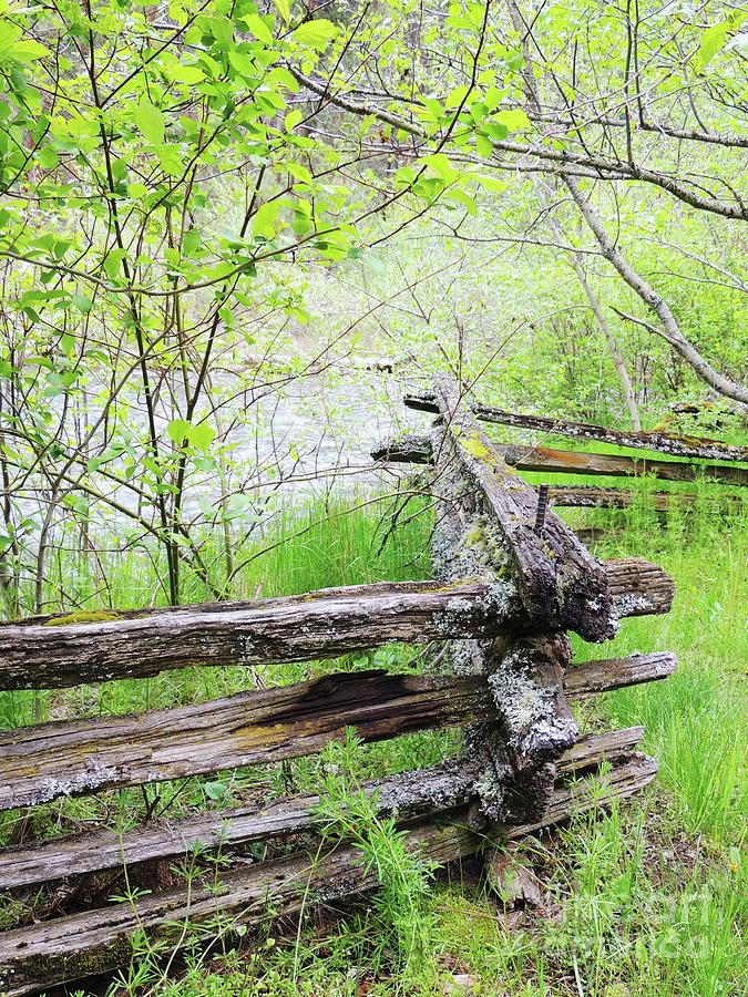 Rustic Wooden Fence Photograph by Julie Rauscher