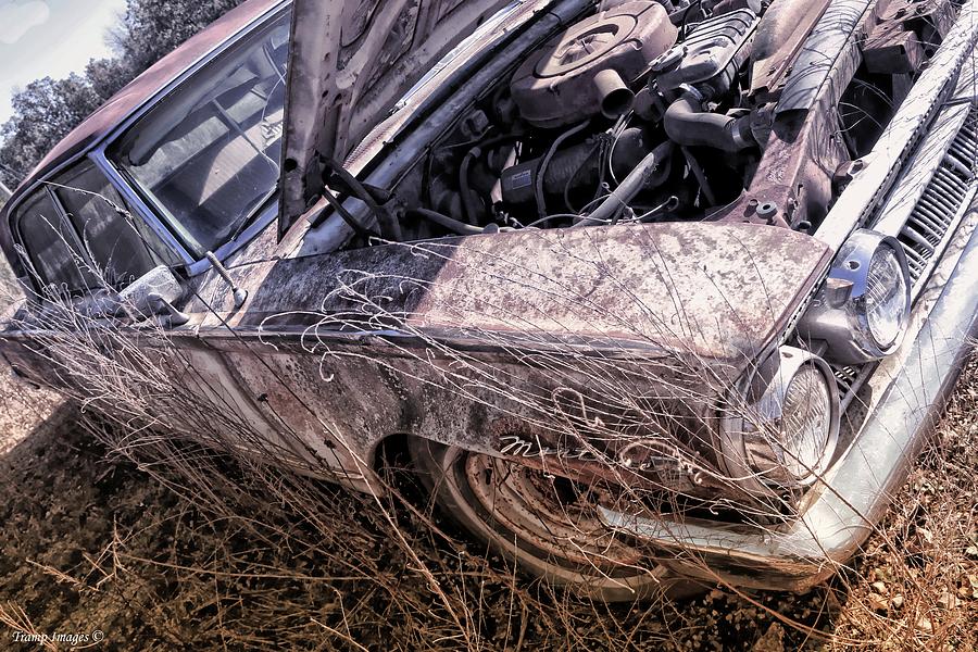 Rusting Mercury by Wesley Nesbitt Rusting Mercury by Wesley Nesbitt