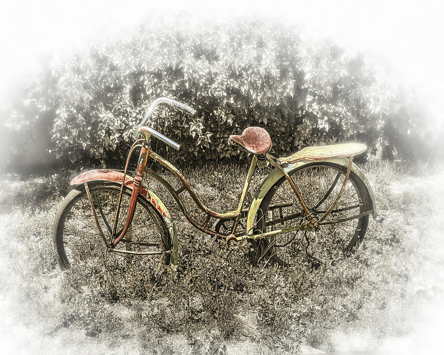 Rusty Bike Photograph by Don Schimmel