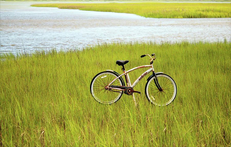 Rusty Bike In The Marsh Photograph by Cynthia Guinn