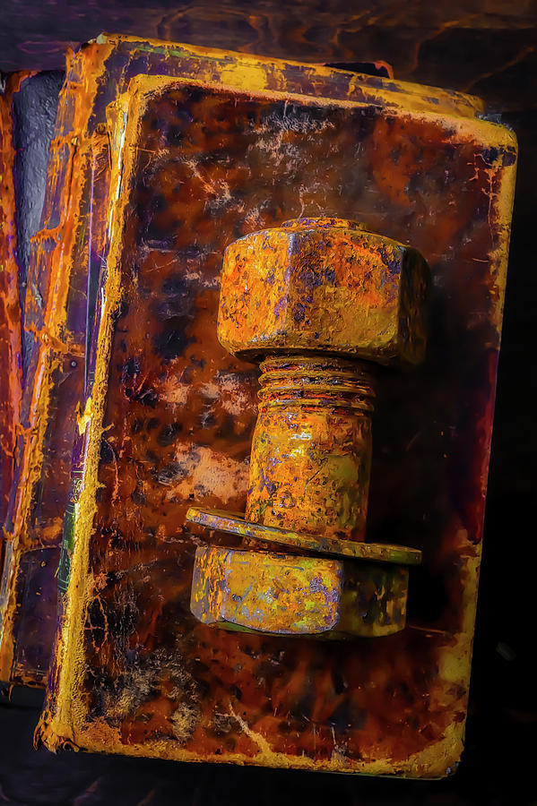 Rusty Bolt On Old Books Photograph by Garry Gay