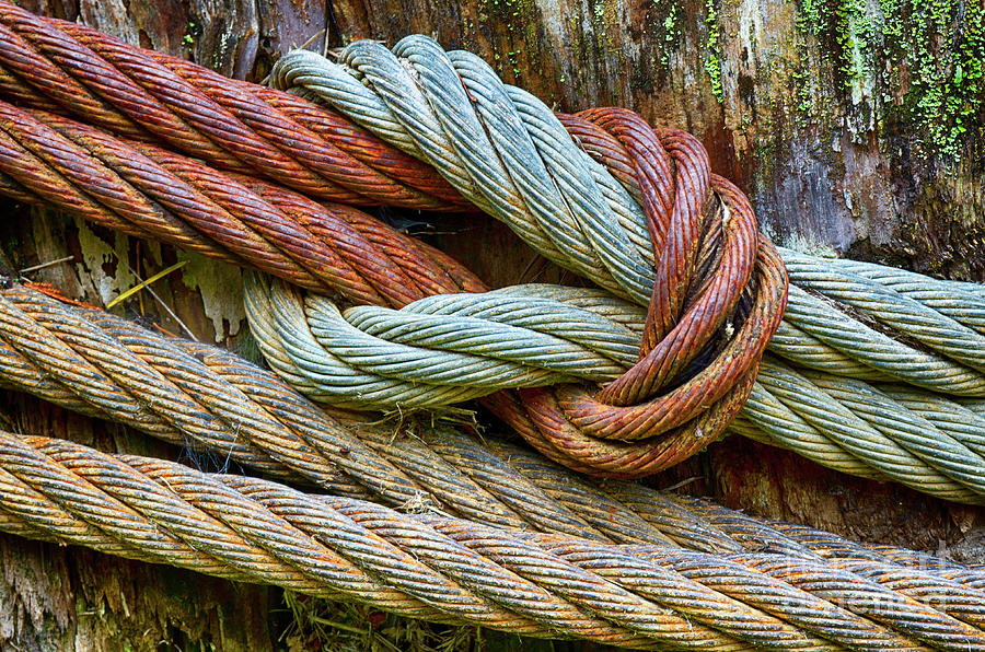 Rusty Cables Photograph by Bob Christopher