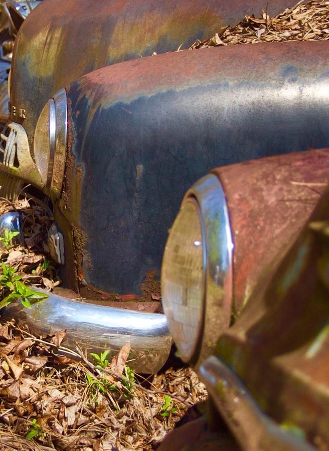 Rusty Cars Photograph by Monica Habib