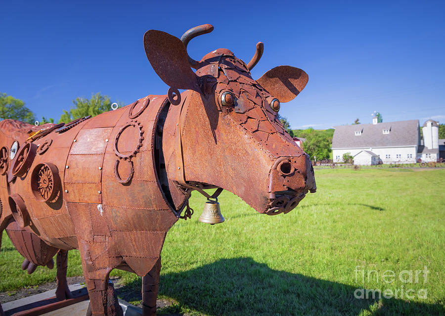 Rusty Cow Photograph by Inge Johnsson