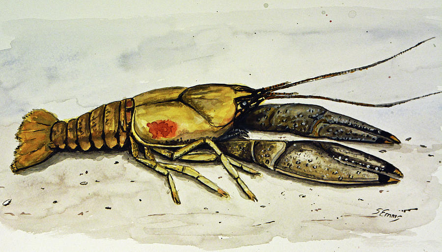 Rusty Crayfish Painting by Stephen Emms