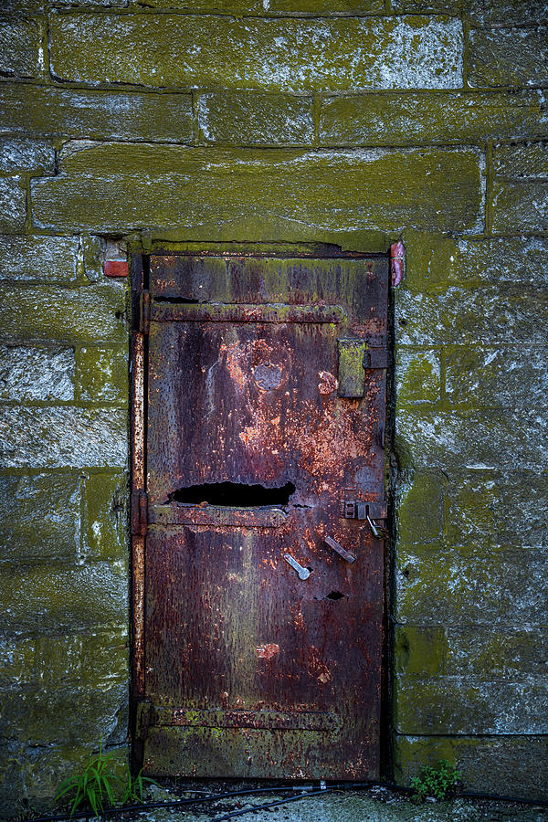 Rusty Door Photograph by Paul Freidlund