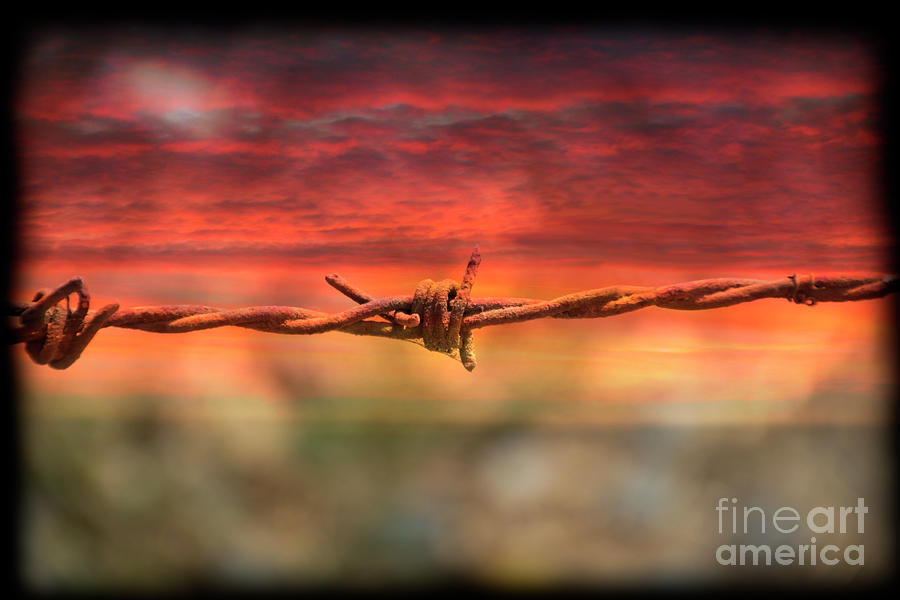 Rusty El Salto Barbed Wire Photograph by Al Bourassa