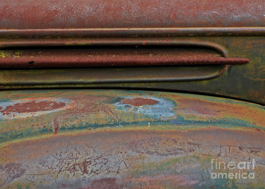 Rusty Ford Pickup Hood Photograph by Ron Long