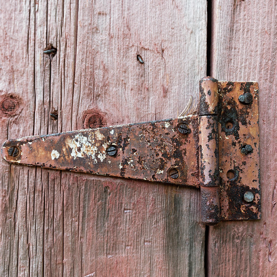 Rusty Hinge Photograph by James Meyer