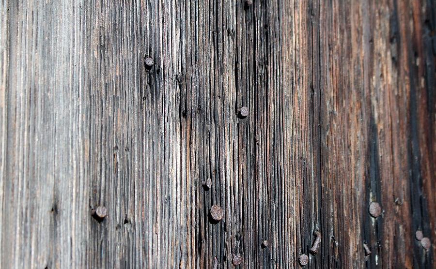 Rusty Nails In Old Wood Photograph by Cynthia Guinn