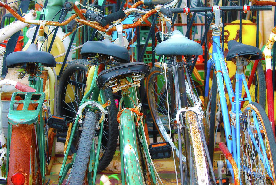 Rusty Old Bikes Photograph by Nina Silver