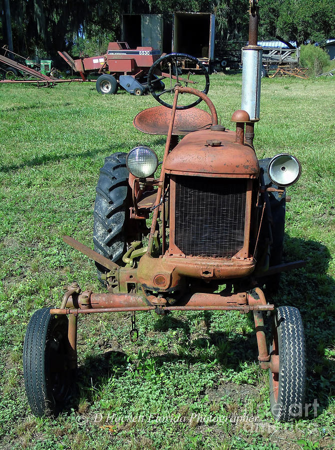 Rusty Old Farmall Tractor Photograph by D Hackett