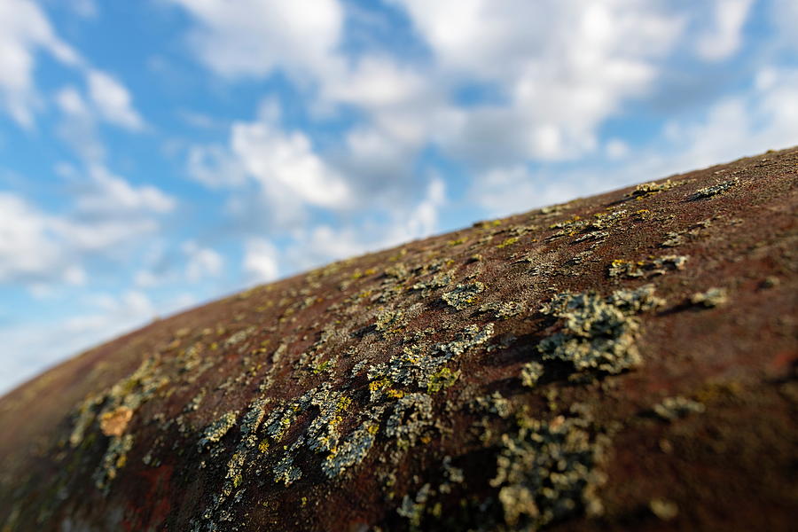 Rusty old truck roof with moss Photograph by Art Whitton
