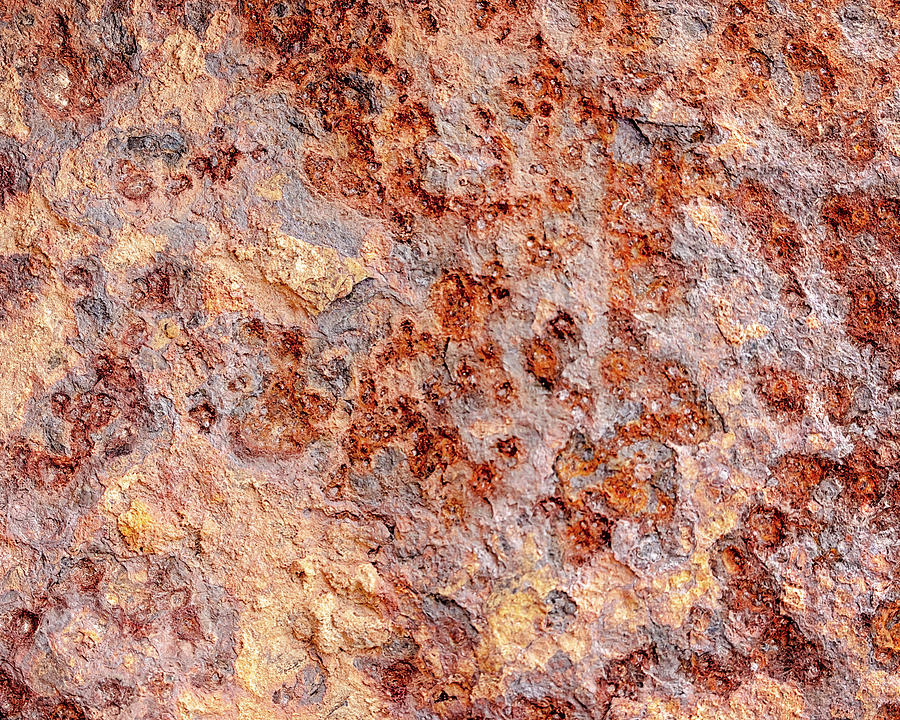 Rusty Pattern Photograph by Travis Rogers