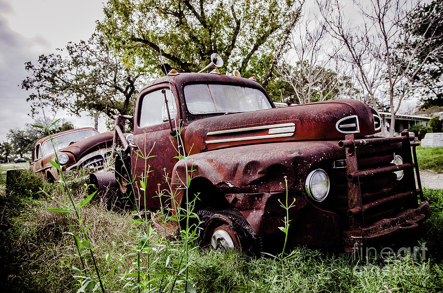 Rusty pickup Photograph by Marc Dufresne - Fine Art America