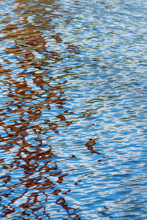 Rusty Piling Reflection Photograph by Robert Potts