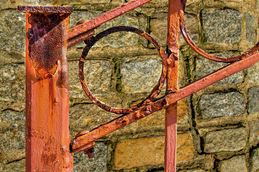 Rusty railing Photograph by Xavier Cardell