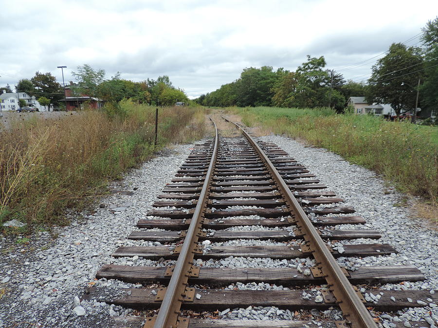 Rusty Rails Photograph by Bill Tomsa