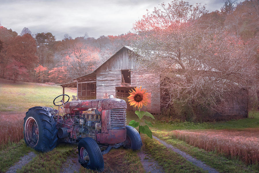 Rusty Red on the Farm in Country Colors Photograph by Debra and Dave Vanderlaan