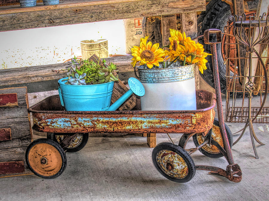 Rusty Red Wagon and Sunflowers Photograph by Floyd Snyder