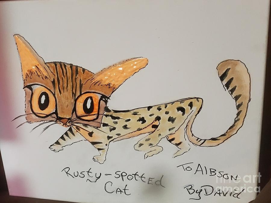 Baby rusty hot sale spotted cat