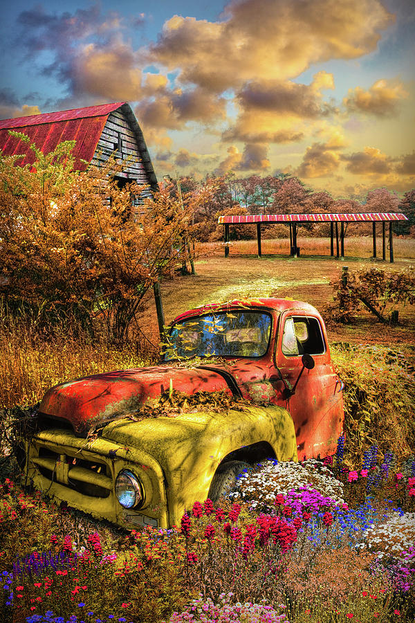 Rusty Truck in the Autumn Garden Photograph by Debra and Dave Vanderlaan