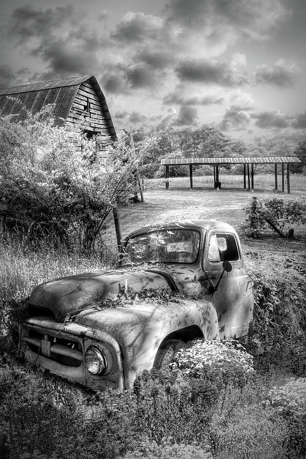 Rusty Truck in the Garden Black and White Photograph by Debra and Dave Vanderlaan