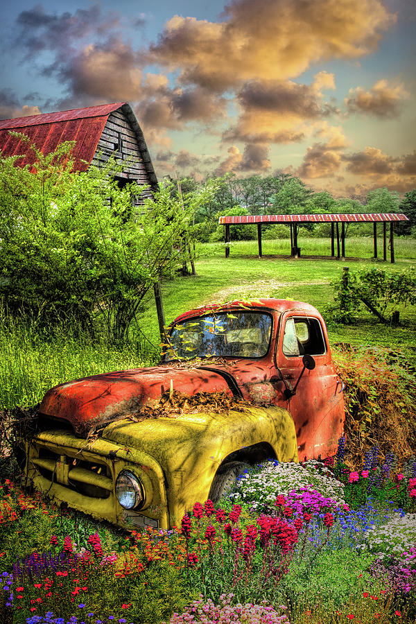 Rusty Truck in the Garden Photograph by Debra and Dave Vanderlaan