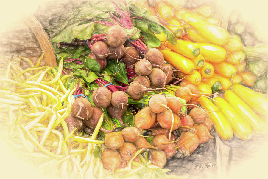 Rutabega, Squash With Yellow Beans Photograph